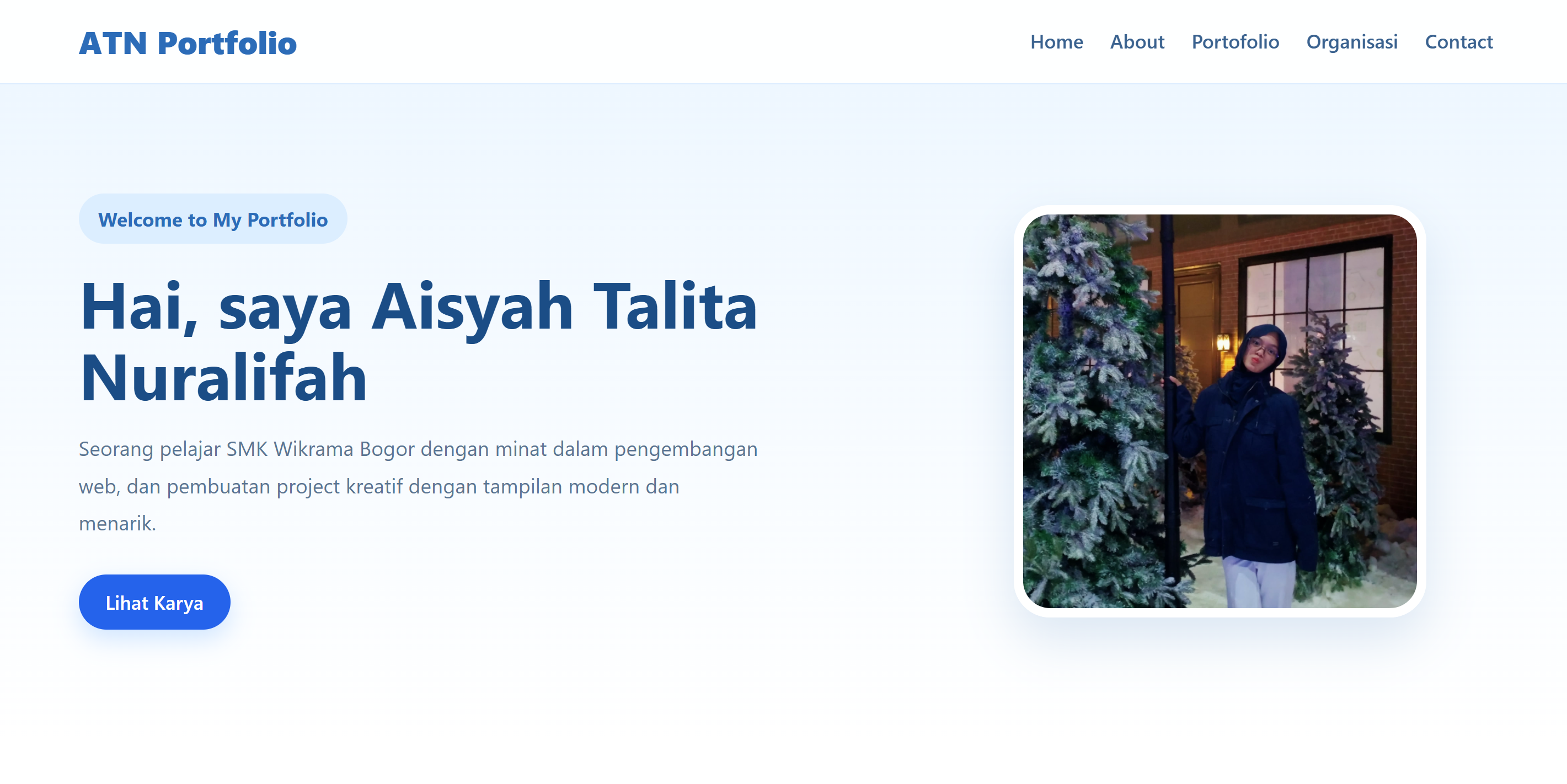 Website Portofolio
